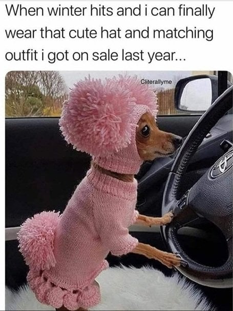 dog outfit.jpg