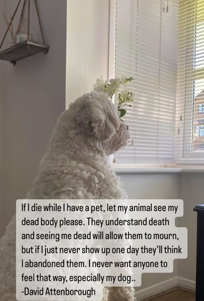 dog owner 2.jpg