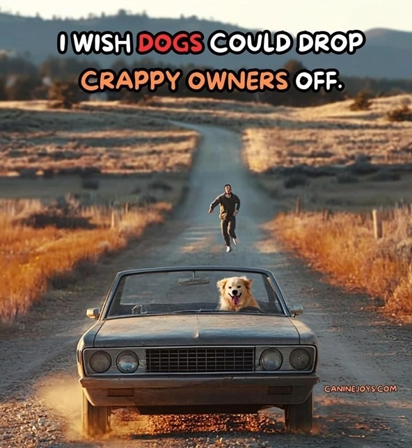 dog owners.jpg