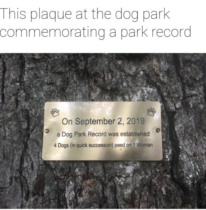 dog park.jpg