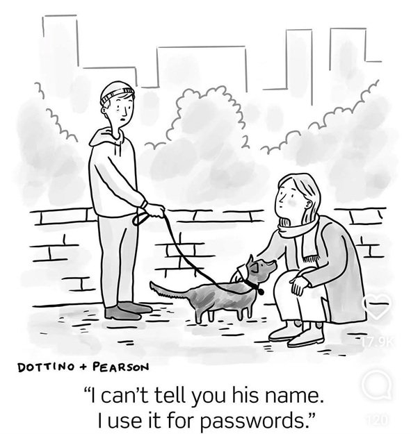 dog passwords.jpg
