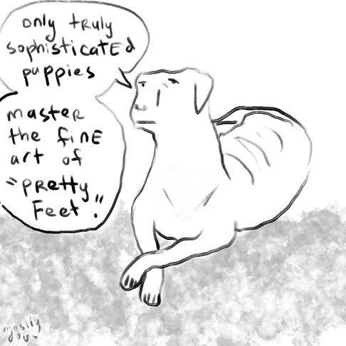 dog paws.jpg