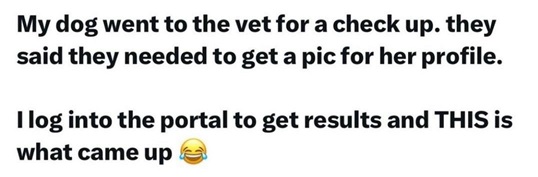 dog pic 1.jpg