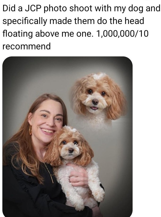 dog pic.jpg