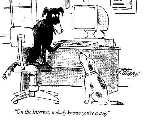 dog.png