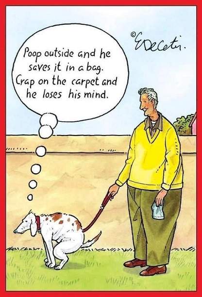 dog poo.jpg