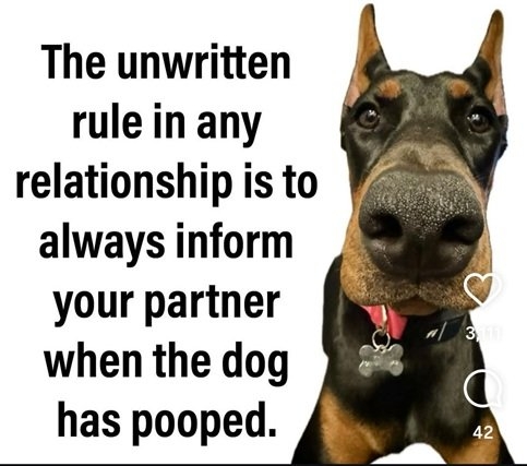 dog poop.jpg
