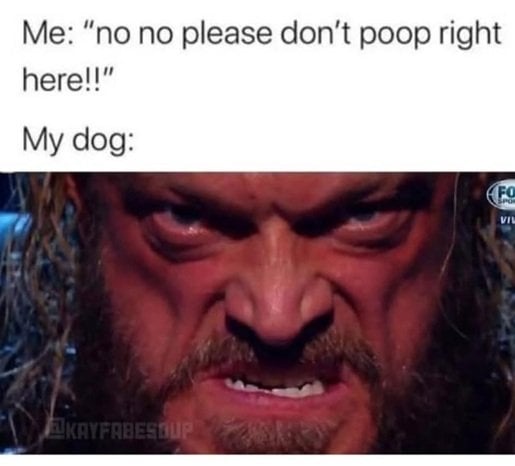 dog poop.jpg