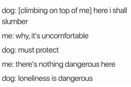 dog protect.jpg