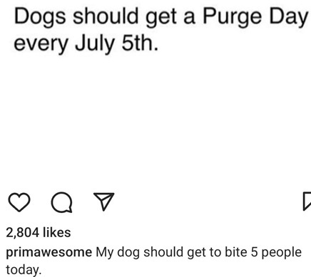 dog purge.jpg