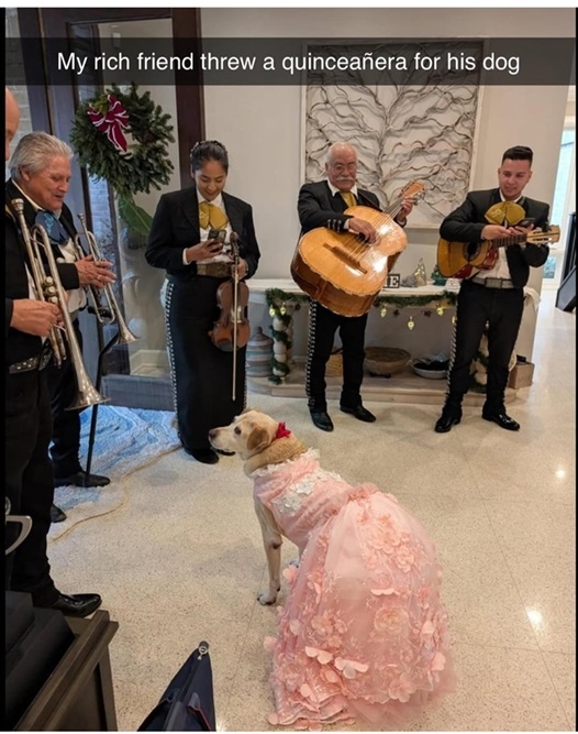 dog quince.jpg