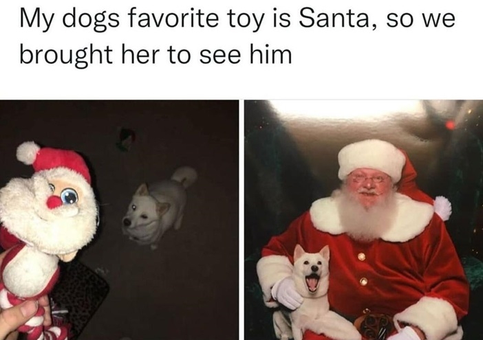 dog santa.jpg