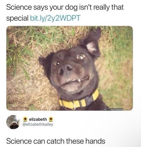 dog science.jpg