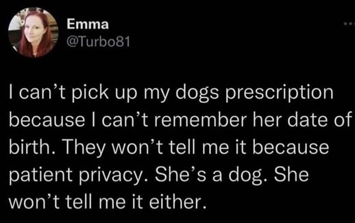 dog script.jpg