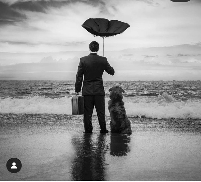 dog sea.jpg