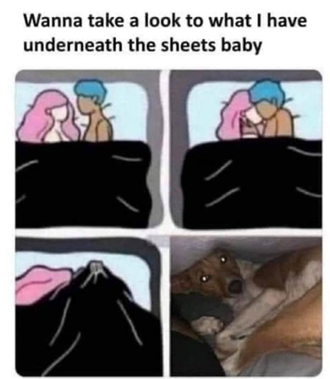 dog sheets.jpg