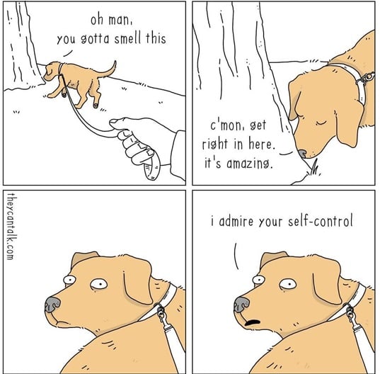 dog smell.jpg