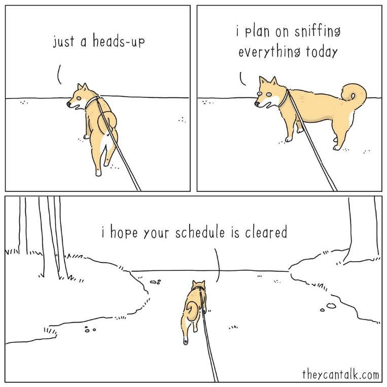 dog sniffing.jpg