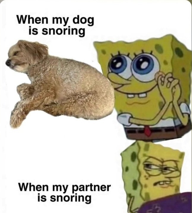 dog snoring.jpg