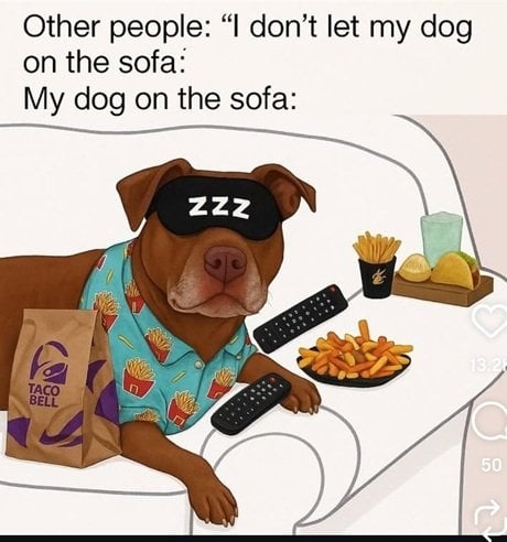 dog sofa.jpg