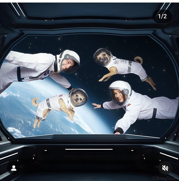dog space shoot.jpg