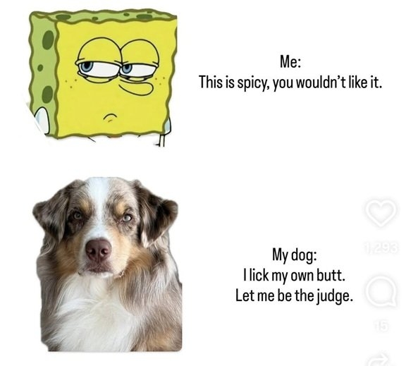 dog spice.jpg