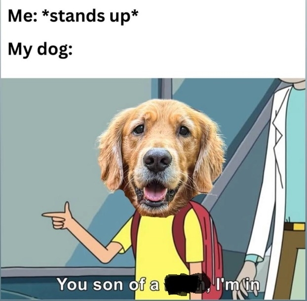 dog stand.jpg