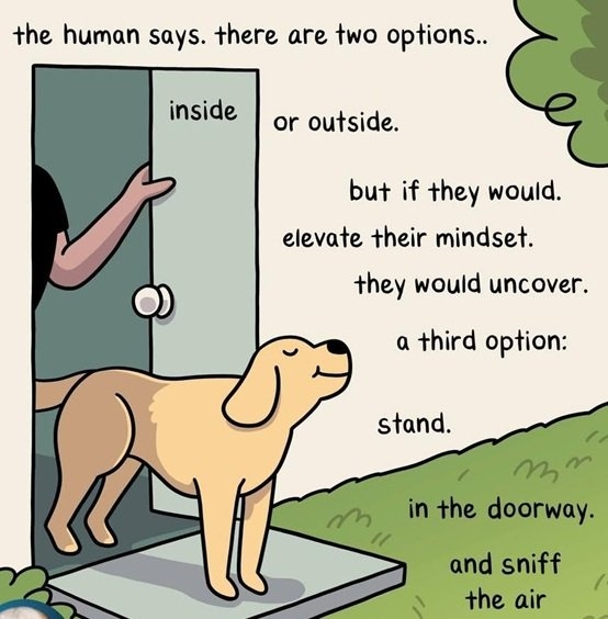 dog stand.jpg
