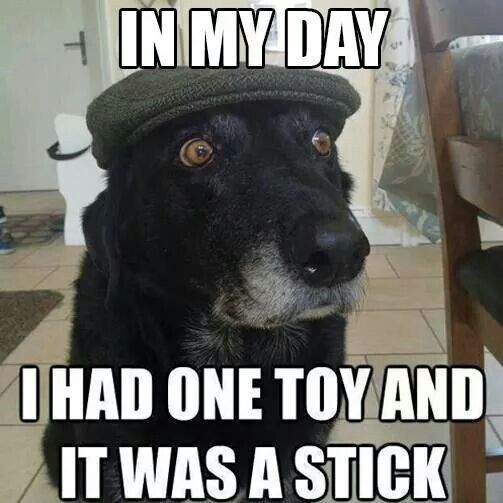dog stick.jpg
