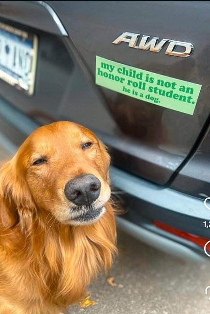 dog sticker.jpg