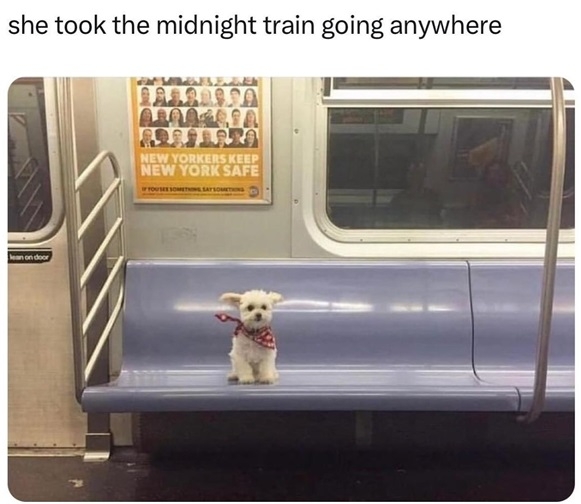 dog subway.jpg