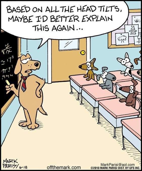 dog teacher.jpg