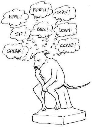Dog Thinks.jpg
