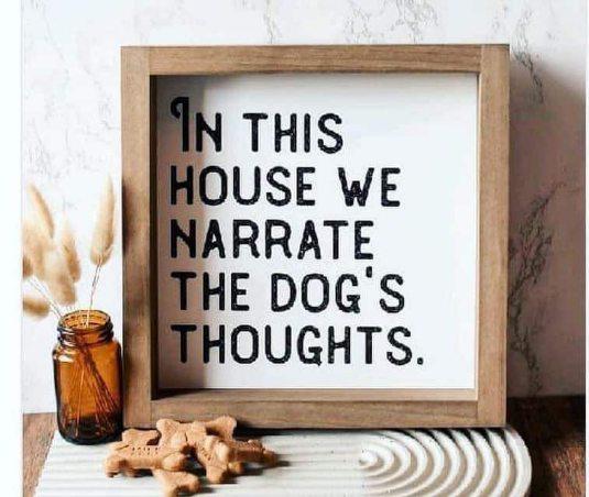 dog thoughts.jpg