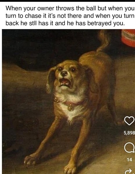 dog throw.jpg