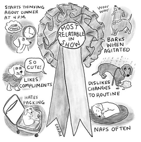 dog toon.jpg