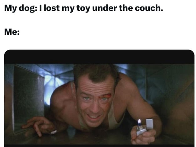 dog toy.jpg