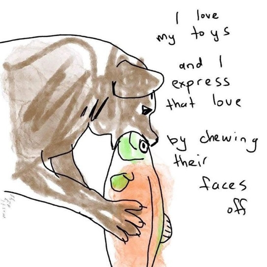 dog toy.jpg