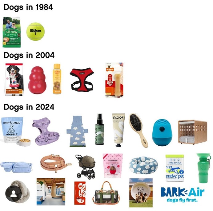 dog toys.jpg