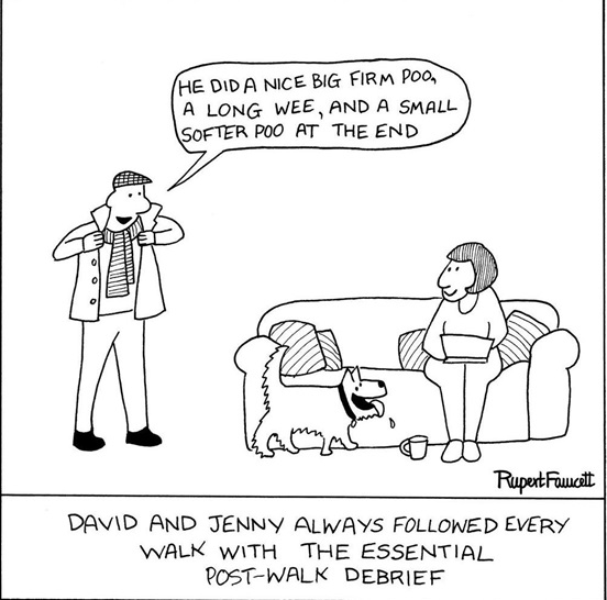 dog walk.jpg