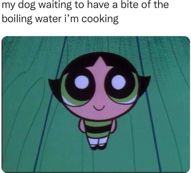 dog water.jpg