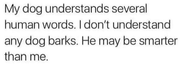dog words.jpg