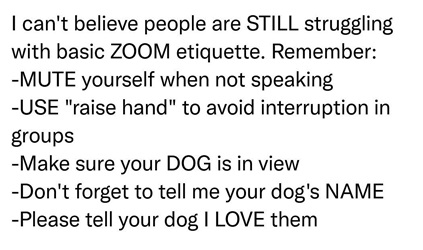dog zoom.jpg