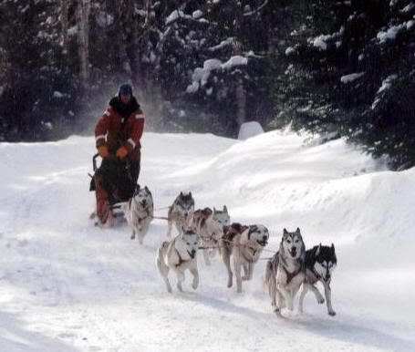 Dog_Sledding.jpg