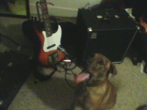 dogbaSSS.jpg