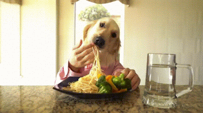 dogeatingpasta.gif