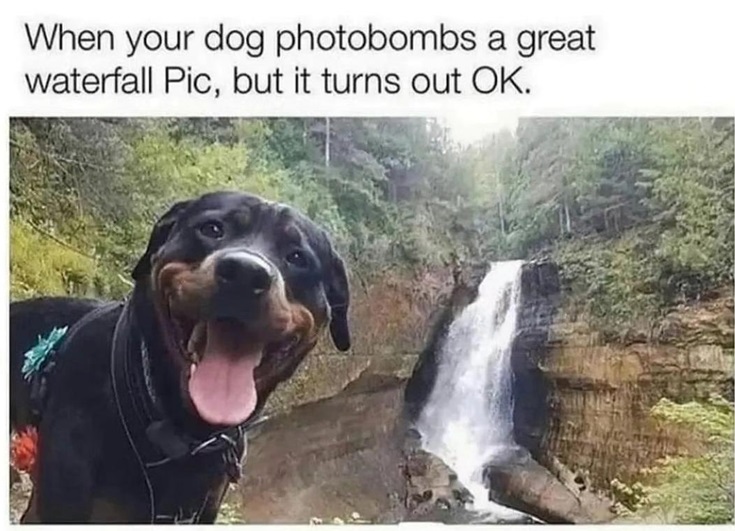 dogerfall.jpg