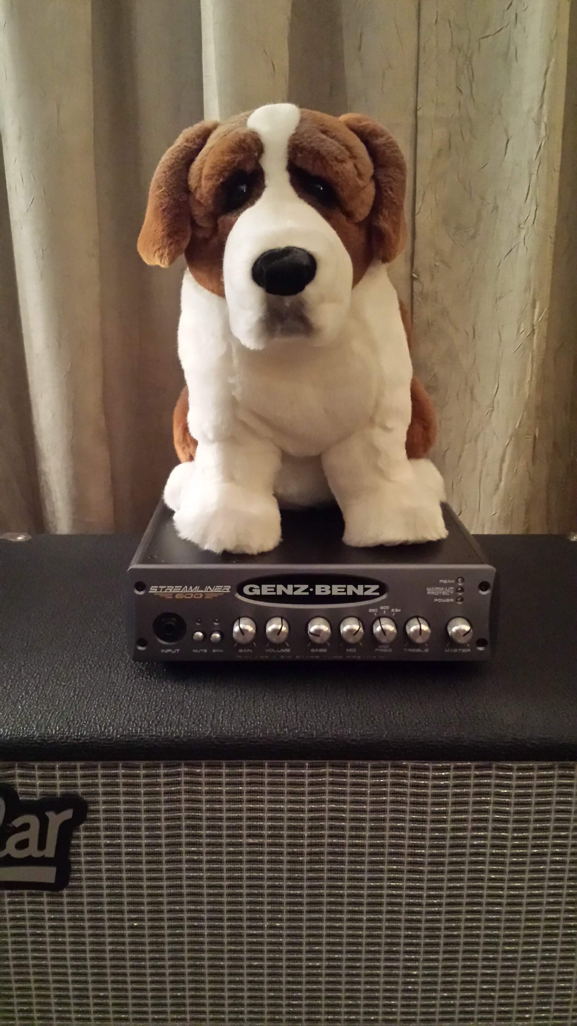 doggie 4.jpg