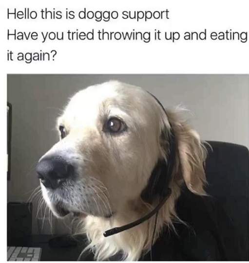 doggo support.jpg