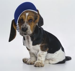 doginhat.jpg